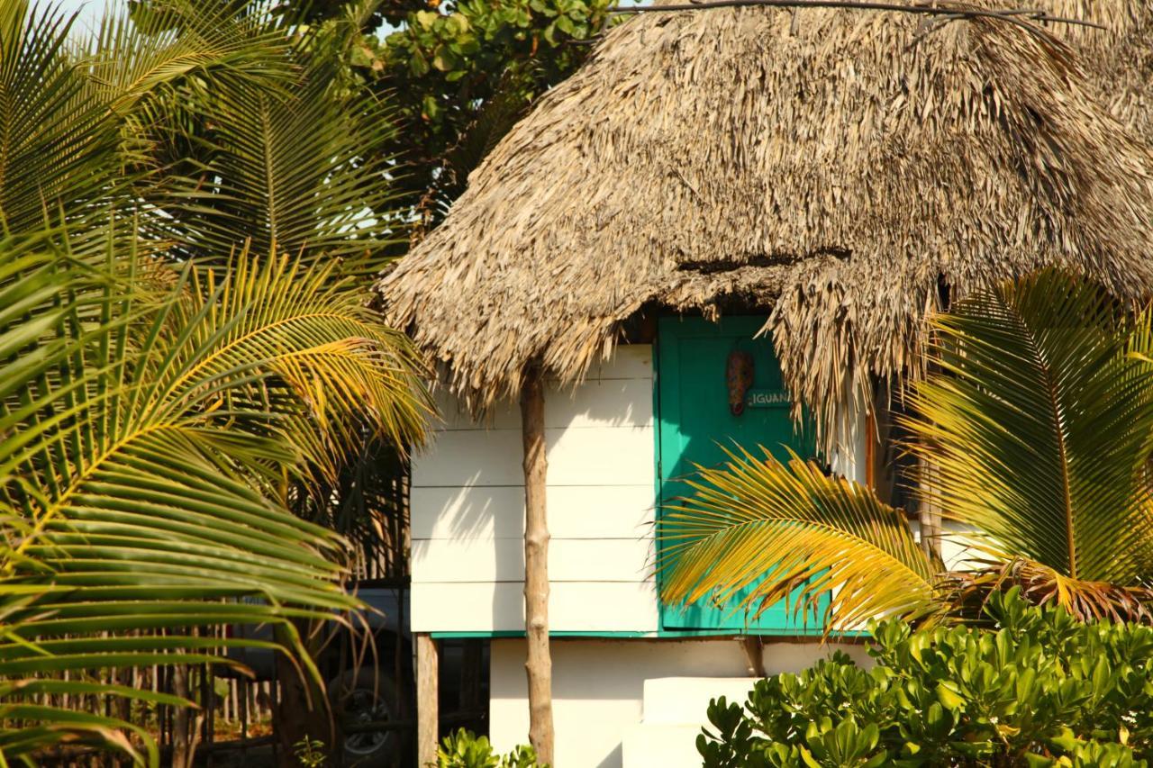Cocori Lodge Paredon El Paredón Buena Vista Kültér fotó