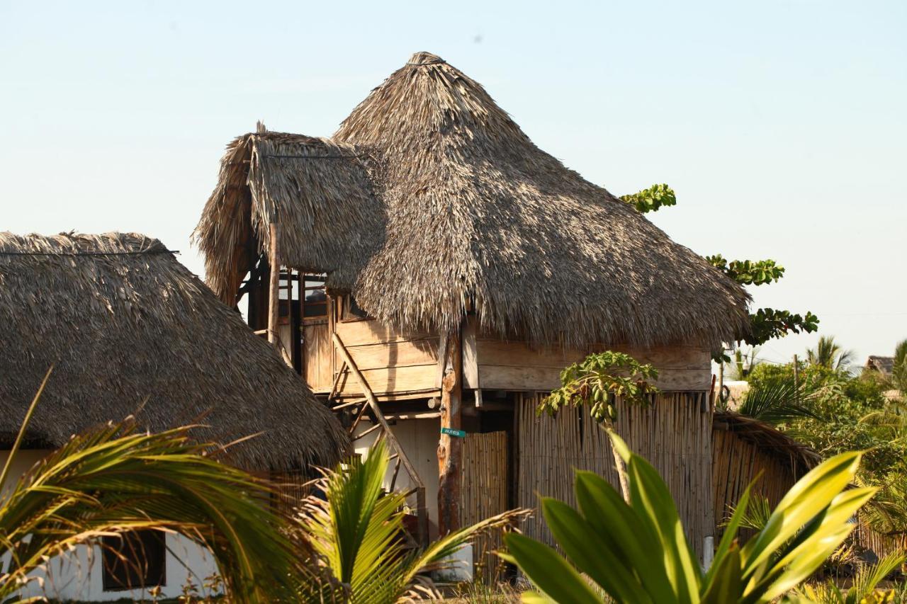 Cocori Lodge Paredon El Paredón Buena Vista Kültér fotó