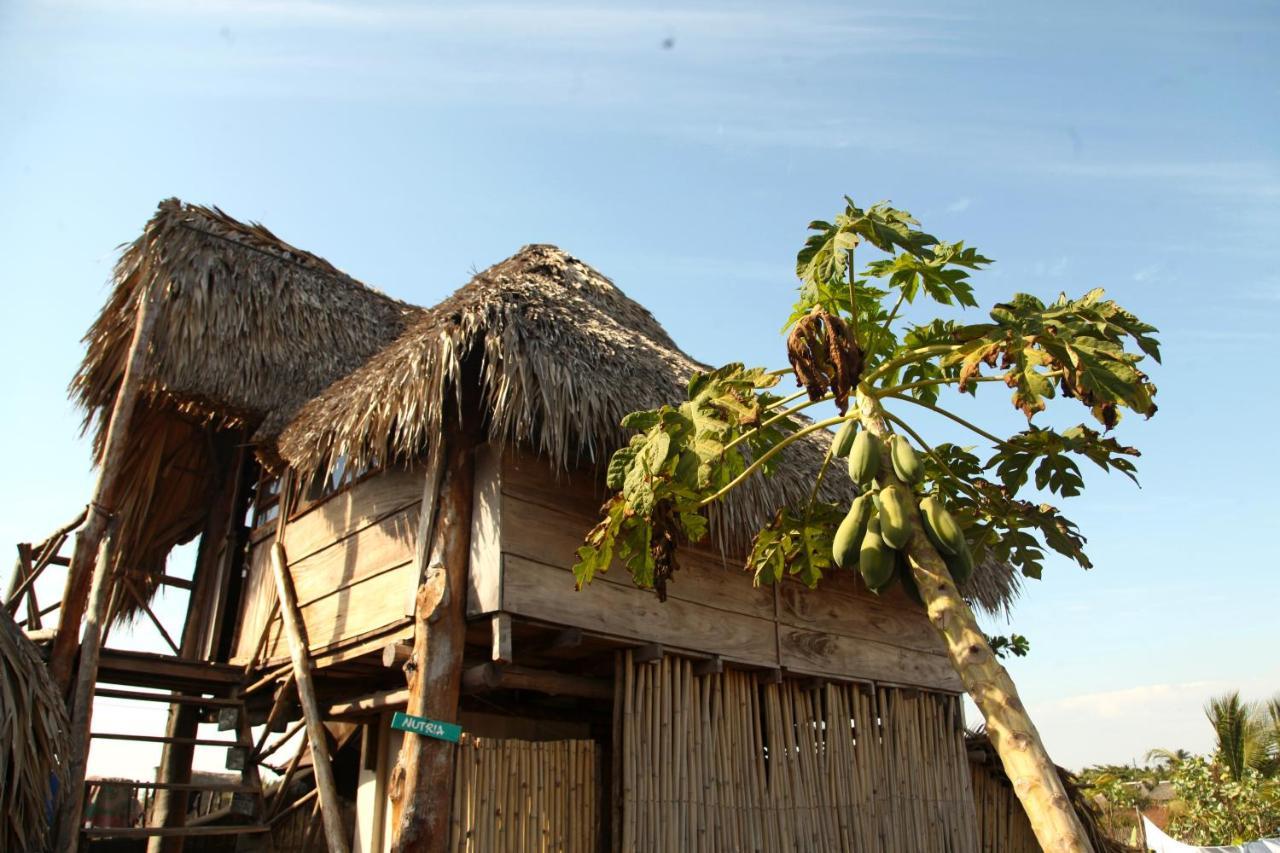 Cocori Lodge Paredon El Paredón Buena Vista Kültér fotó