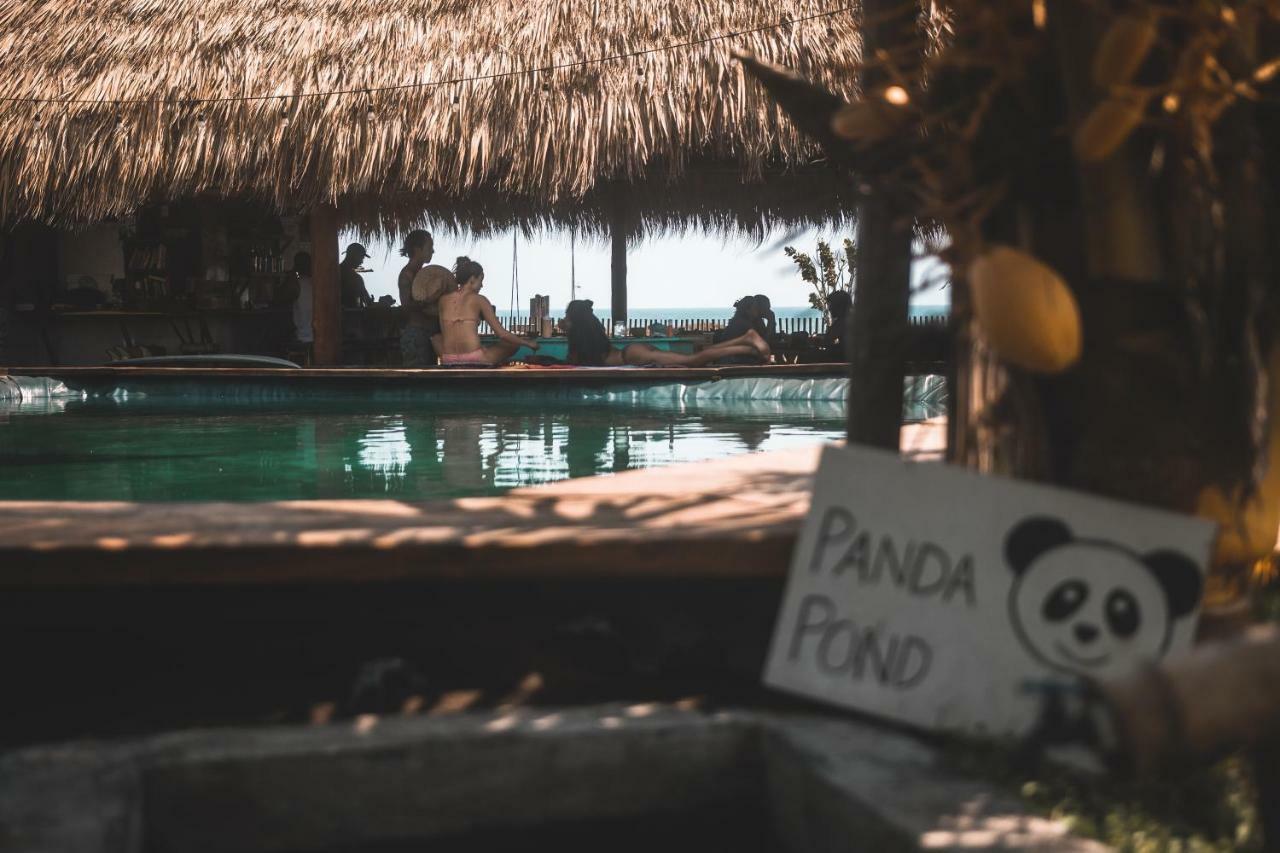 Cocori Lodge Paredon El Paredón Buena Vista Kültér fotó
